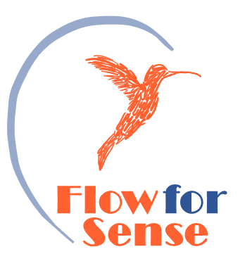 Flow For Sense
